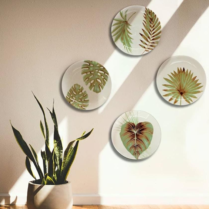 Green,Botany,Plant,Leaf,Dishware,Room,Plate,Platter,Table,Vascular plant