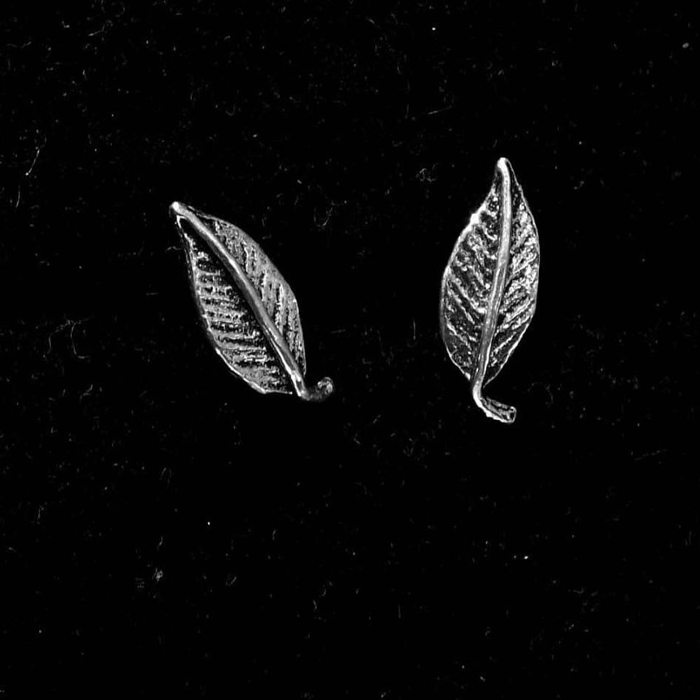 Leaf,Black,Black-and-white,Monochrome photography,Still life photography,Plant,Tree,Font,Silver,Photography