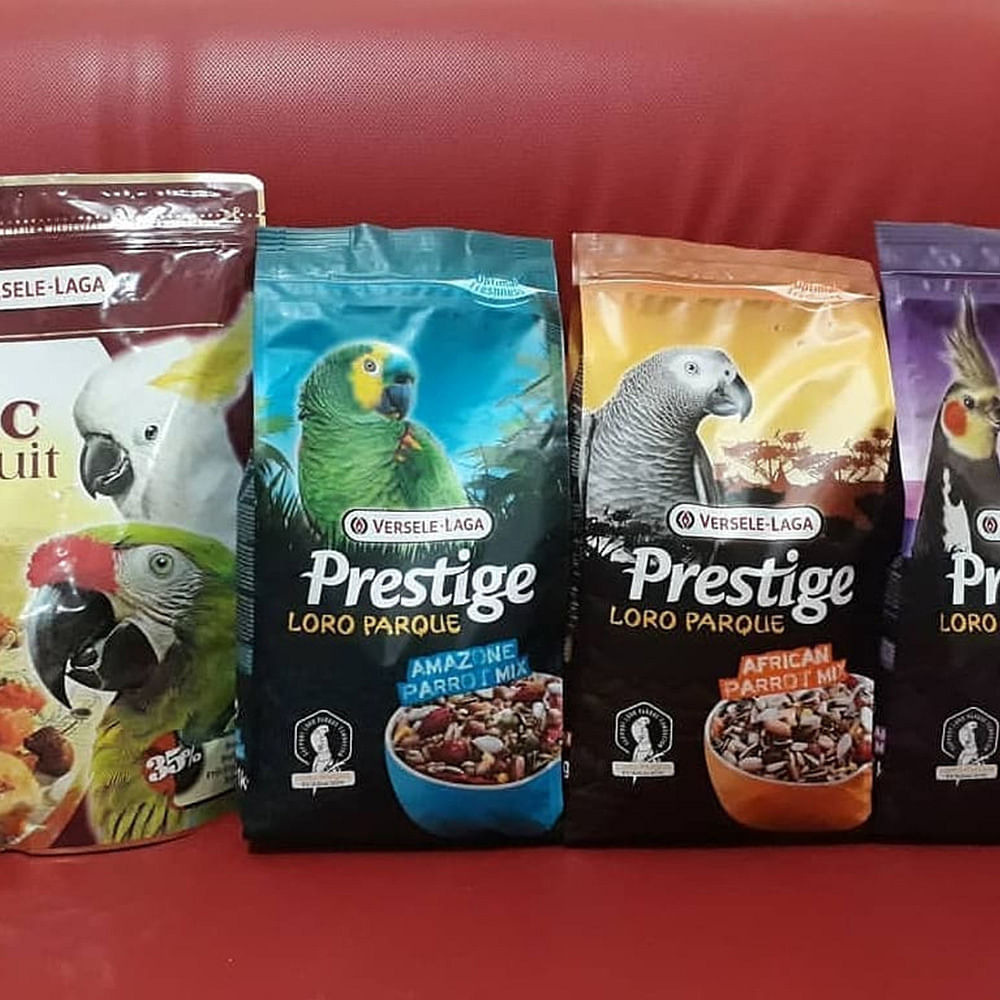 Bird food,Bird supply,Parrot,Pet food,Parakeet,Bird,Organism,african grey,Soil,Breakfast cereal