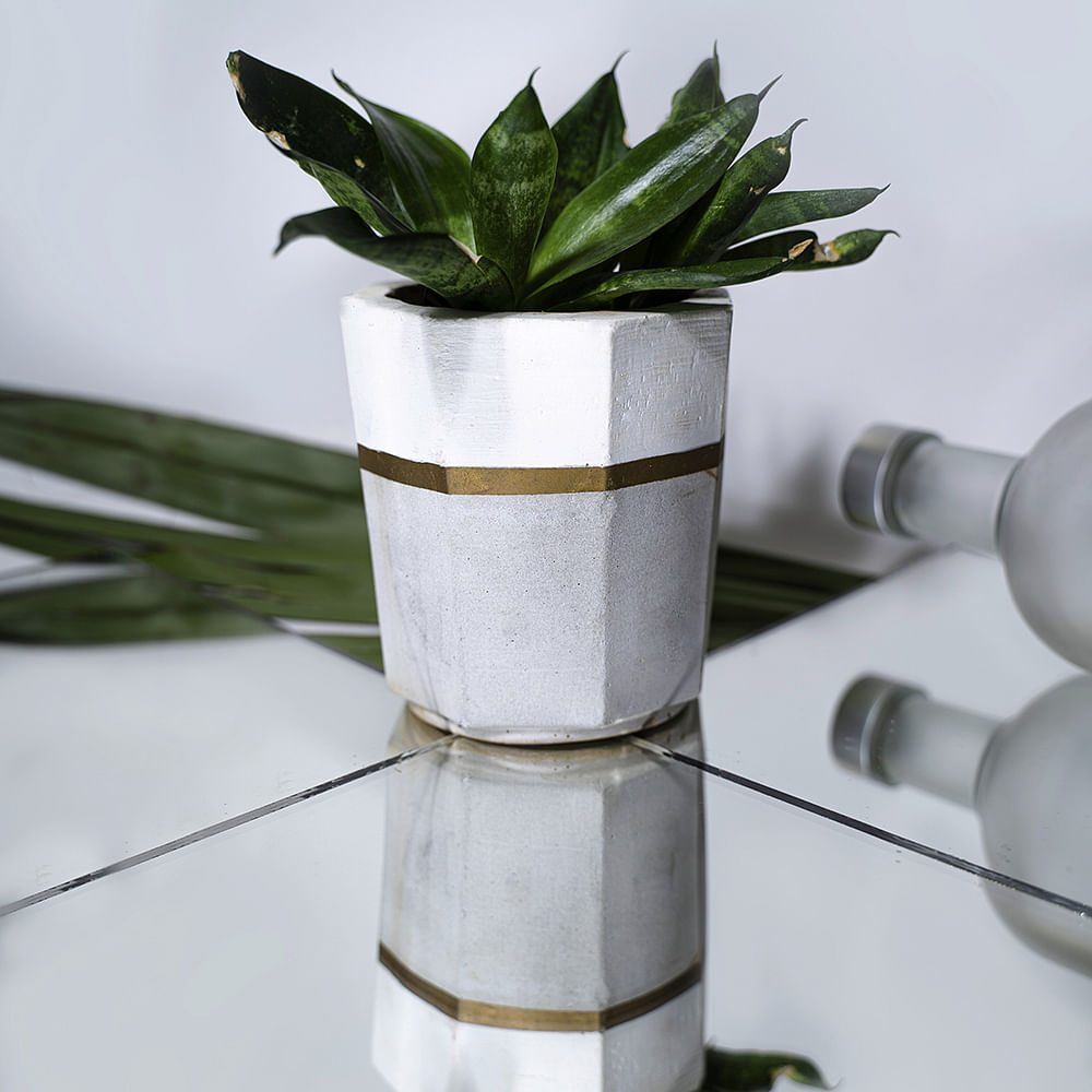 White,Flowerpot,Vase,Houseplant,Leaf,Plant,Flower,Table,Plant stem,Bromeliaceae