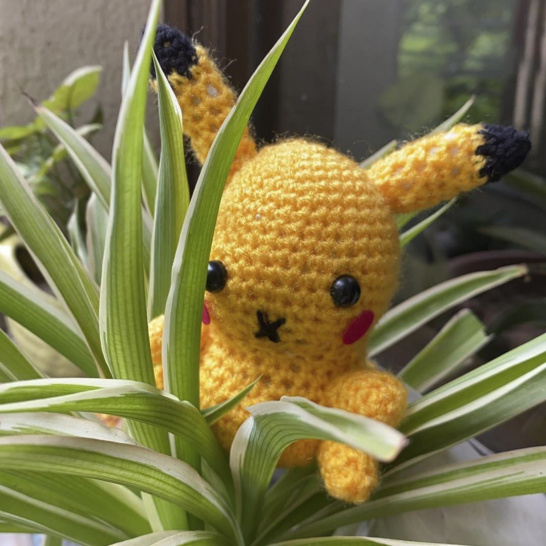 Pineapple,Plant,Botany,Flower,Leaf,Organism,Houseplant,Terrestrial plant,Grass,Bromeliaceae