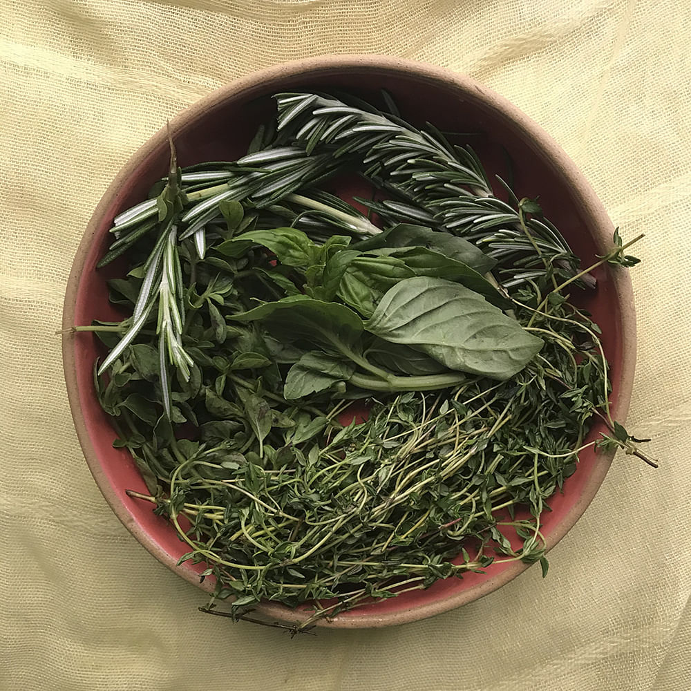 Gyokuro,Plant,Sencha,Herb,Vegetarian food,Shincha,Junshan yinzhen,Huangshan maofeng,Bai mudan,Kabusecha