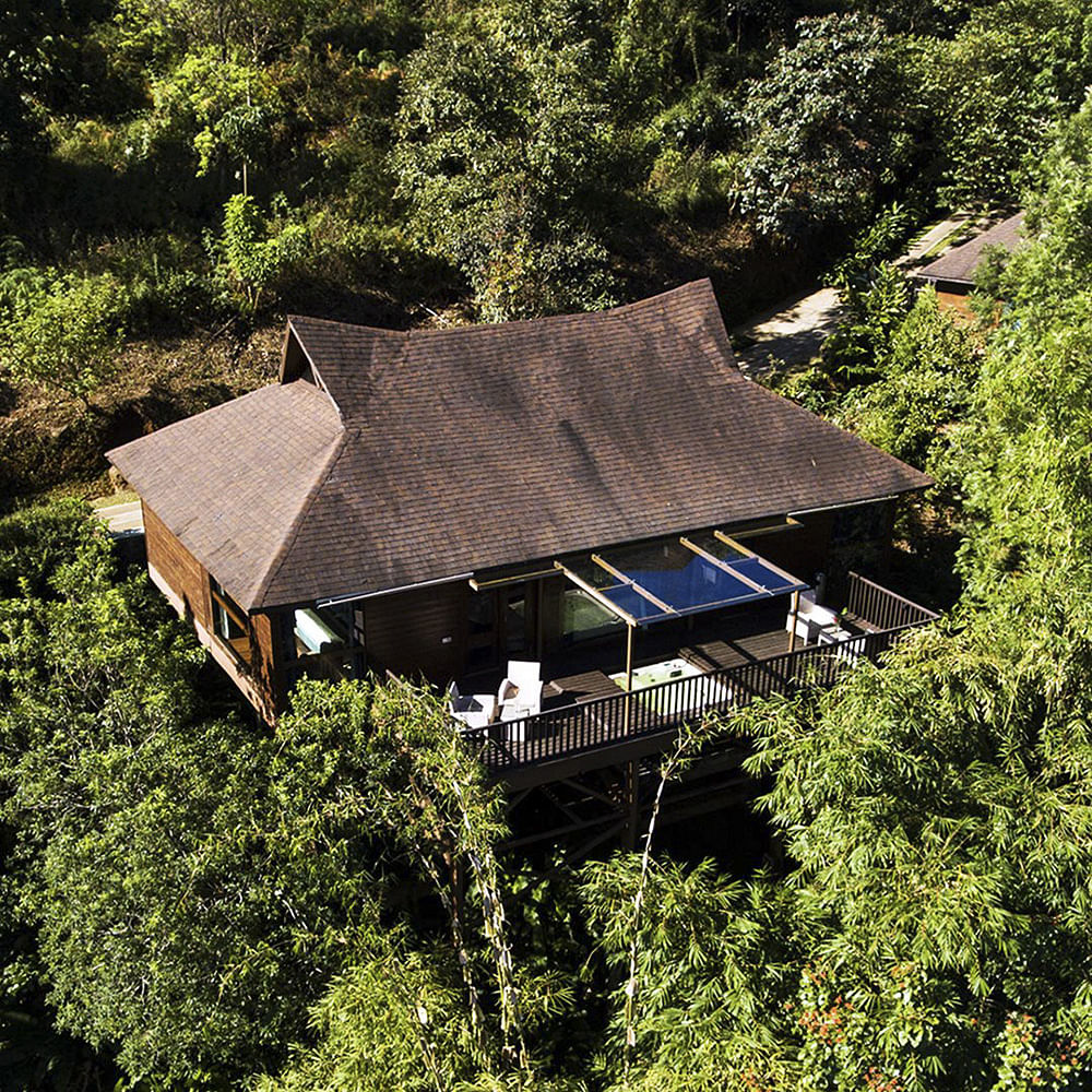 Roof,House,Property,Tree,Building,Architecture,Home,Thatching,Cottage,Landscape