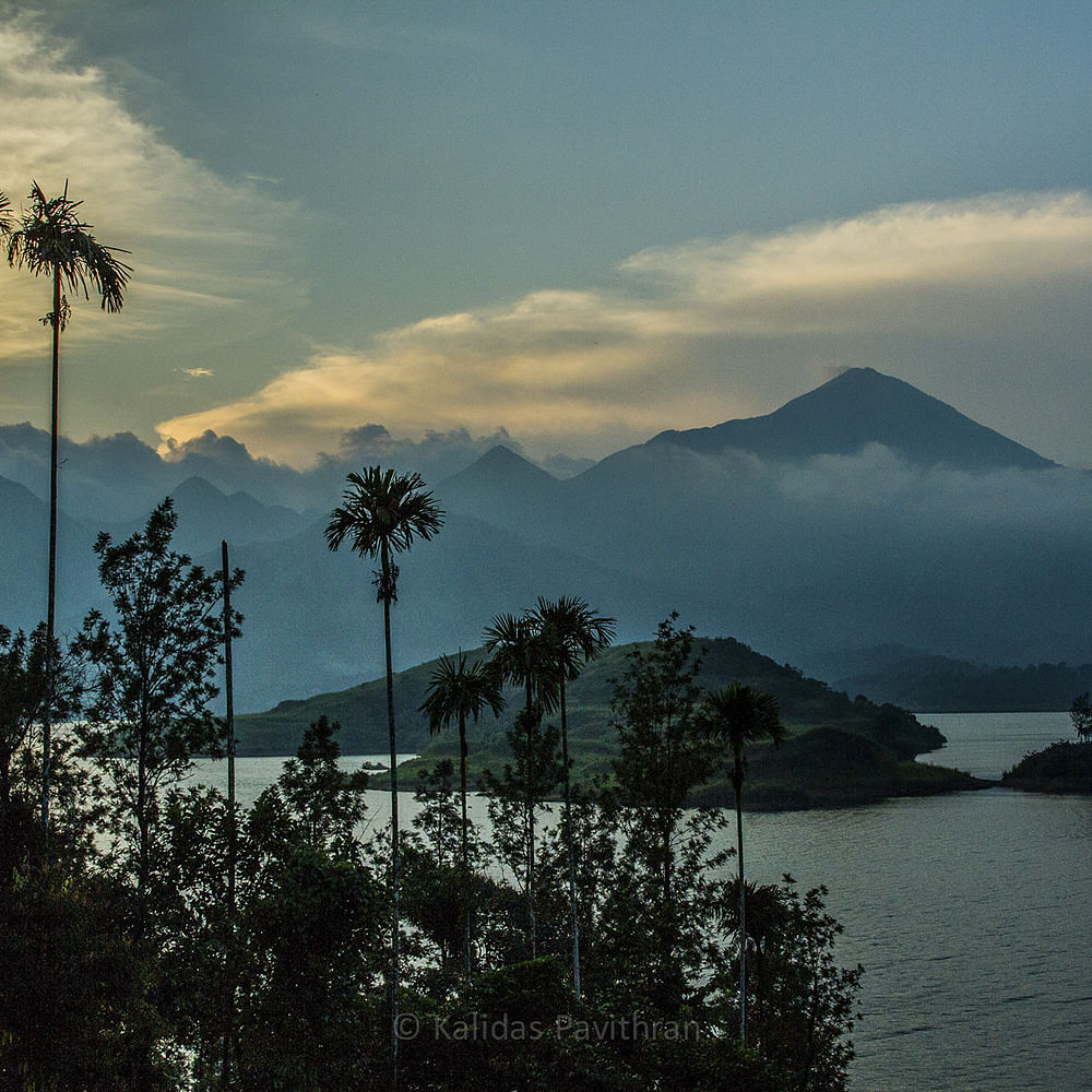 Sky,Tree,Nature,Cloud,Palm tree,Vegetation,Atmospheric phenomenon,Mountain,Evening,Morning