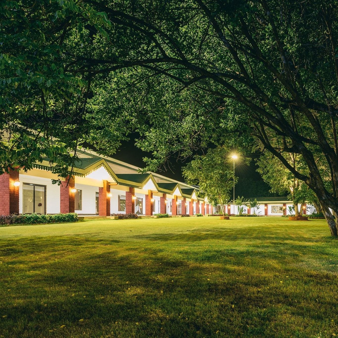 Green,Home,Grass,Tree,House,Light,Sky,Property,Night,Lawn