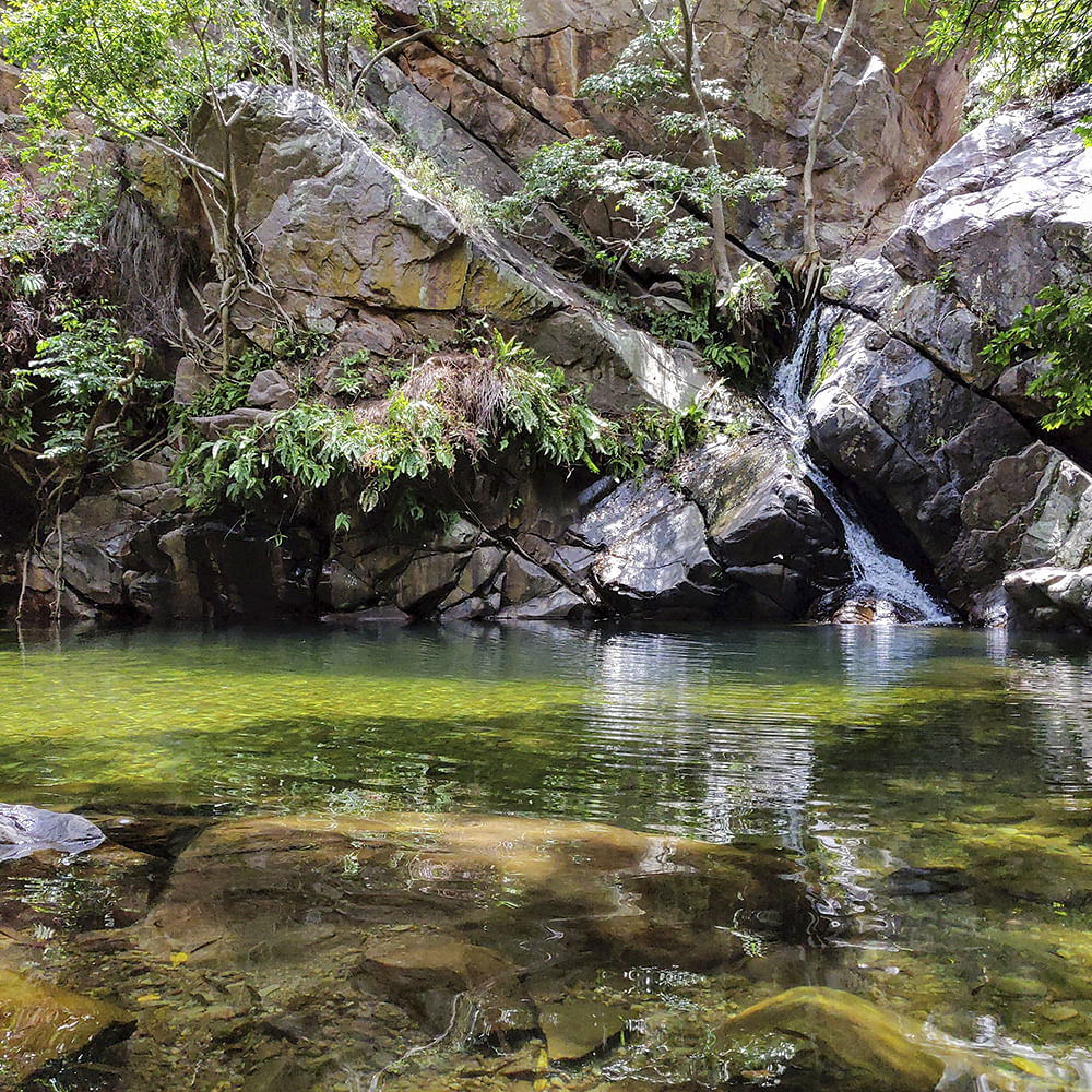 Body of water,Nature,Water resources,Water,Stream,Natural landscape,Watercourse,Vegetation,Nature reserve,Riparian zone