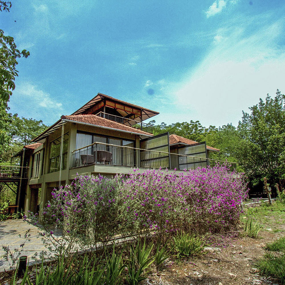 House,Property,Home,Vegetation,Sky,Real estate,Architecture,Building,Tree,Residential area