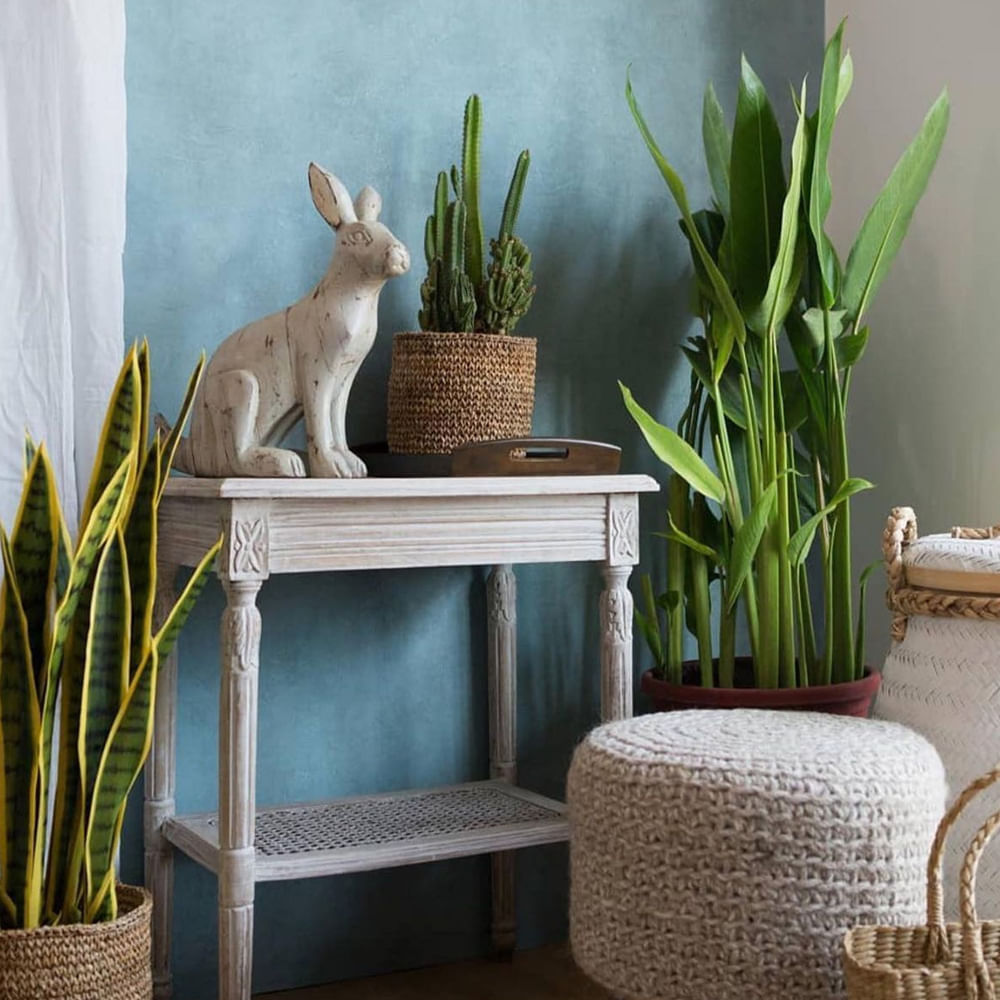 Houseplant,Flowerpot,Grass family,Plant,Room,Grass,Interior design,Furniture,Flower,Wood