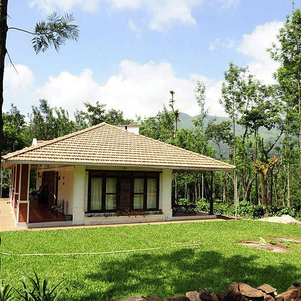 Plant,Cloud,Building,Sky,Property,Tree,Natural landscape,Window,House,Land lot