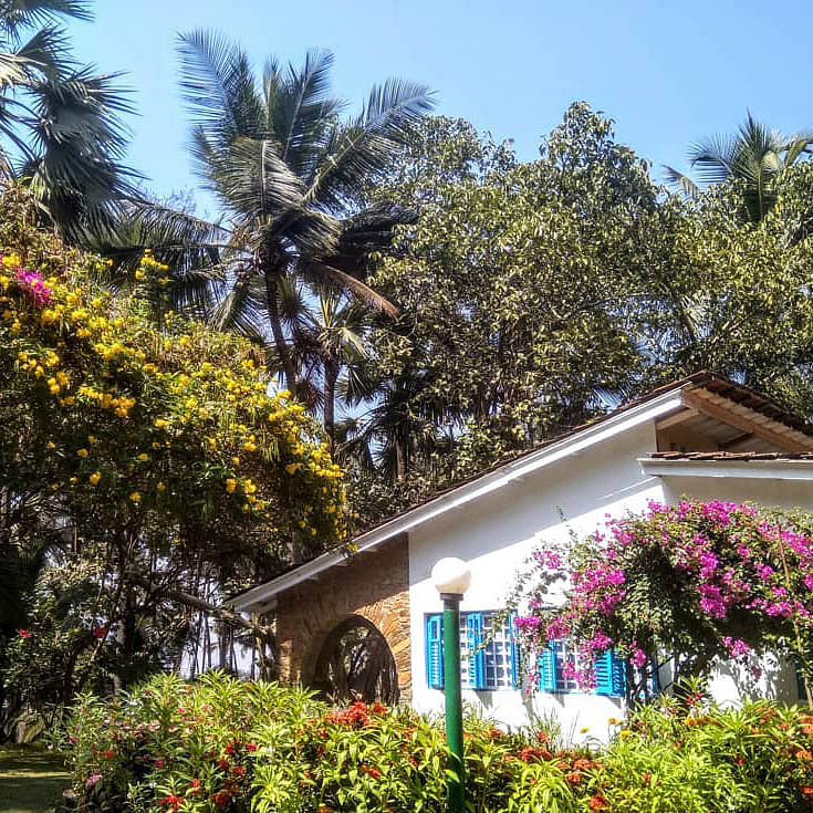 Tree,Sky,Vegetation,Property,House,Home,Botany,Real estate,Architecture,Plant