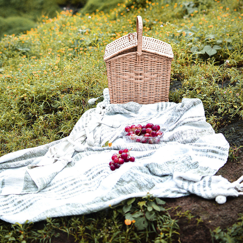 Dress,Grass,Tree,Plant