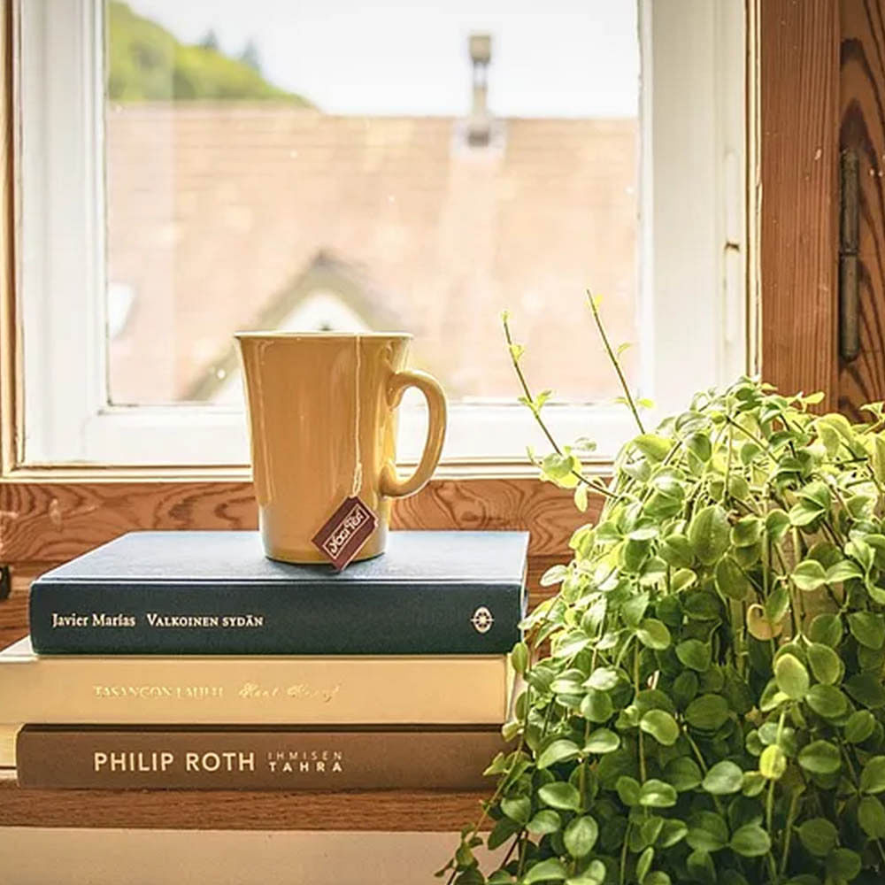 Lighting,Flowerpot,Plant,Window,Room,Herb,Home,Interior design,Table,Houseplant