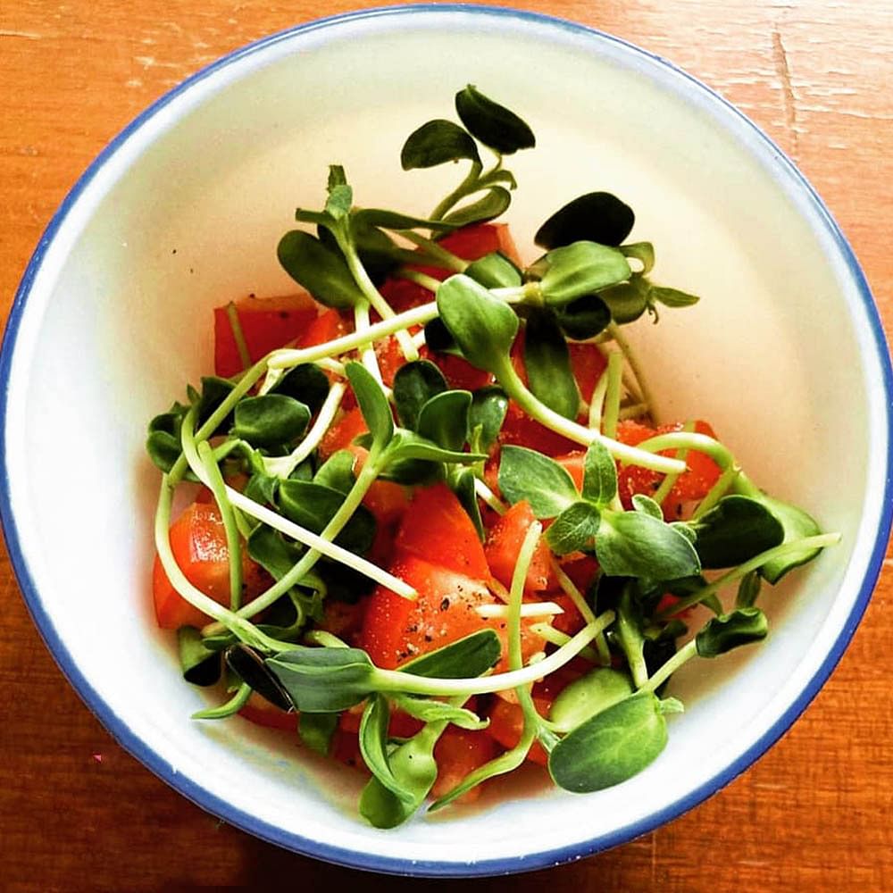 Food,Garden salad,Dish,Salad,Spinach salad,Ingredient,Cuisine,Vegetable,Plant,Produce
