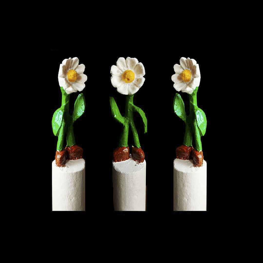 Flower,Flowerpot,Plant,Flowering plant,Petal,Plant stem,Houseplant,Narcissus,Still life photography,Cut flowers