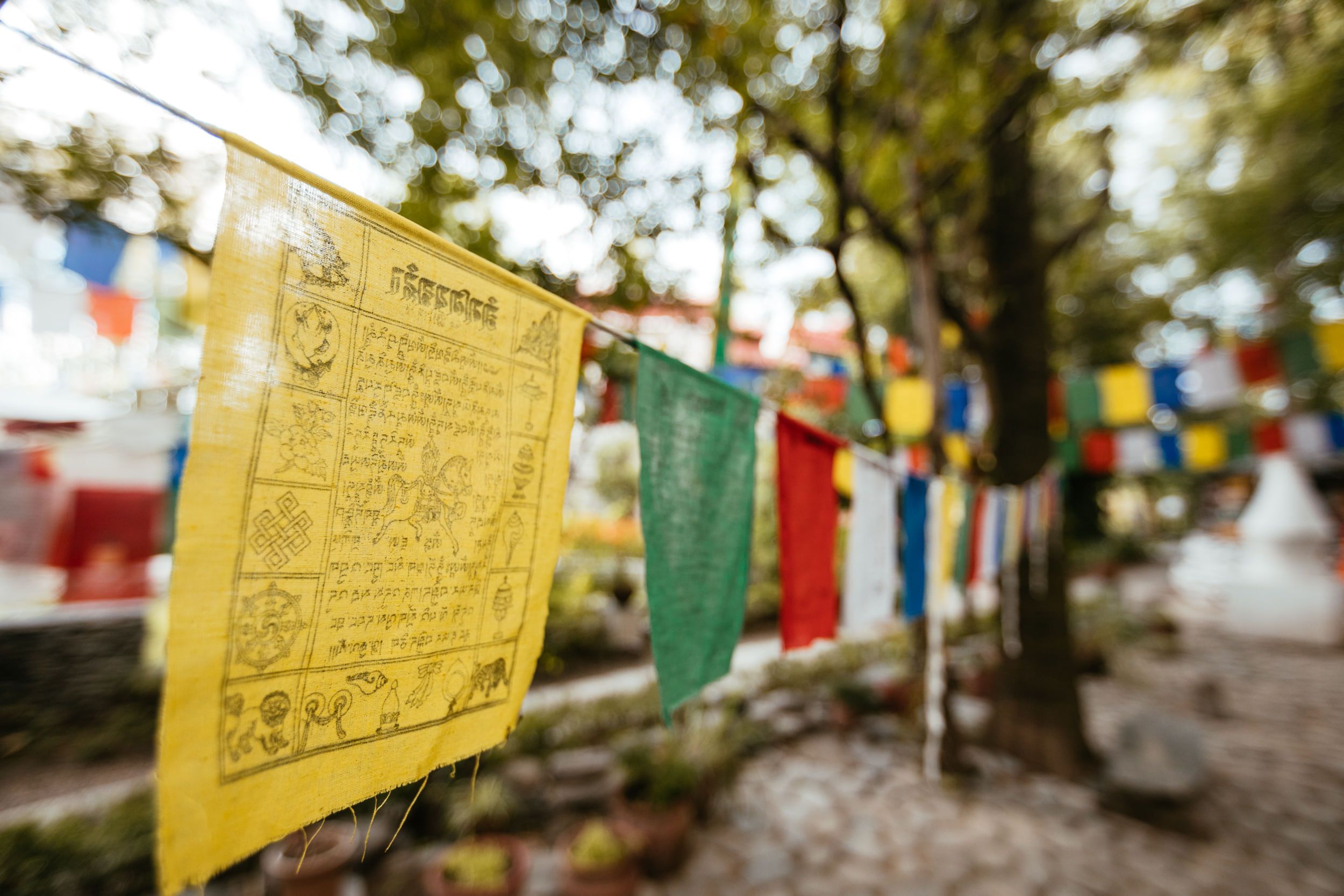 merchant-banner-blur