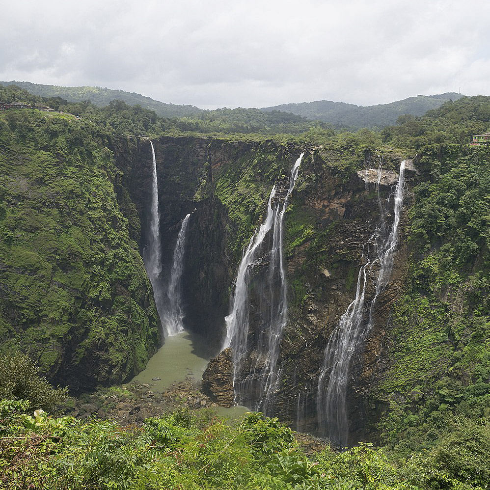 Waterfall,Water resources,Body of water,Natural landscape,Water,Nature,Nature reserve,Vegetation,Watercourse,Chute