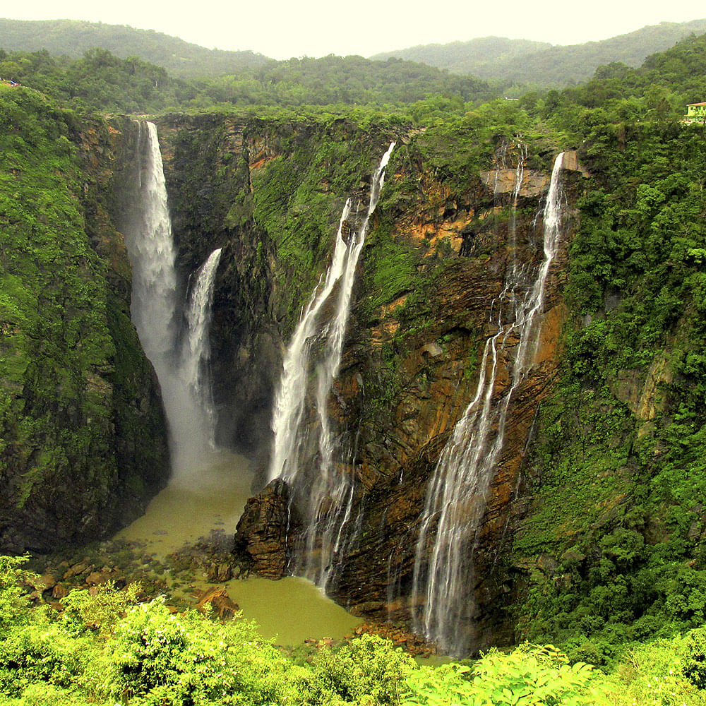 Waterfall,Water resources,Natural landscape,Body of water,Nature,Water,Nature reserve,Vegetation,Watercourse,Chute