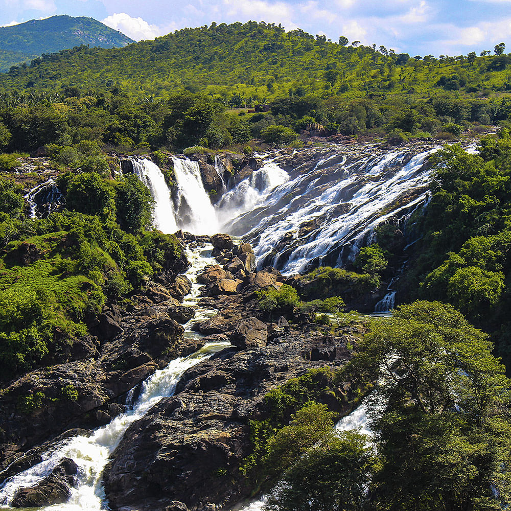 Waterfall,Water resources,Body of water,Natural landscape,Nature,Water,Vegetation,Nature reserve,Watercourse,Wilderness