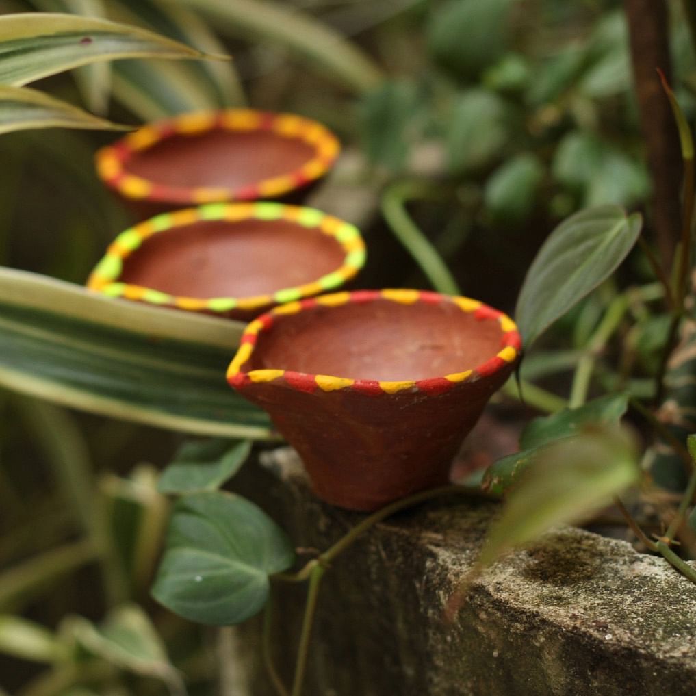 Flower,Botany,Plant,Nepenthes,Flowerpot,Terrestrial plant,Plant stem