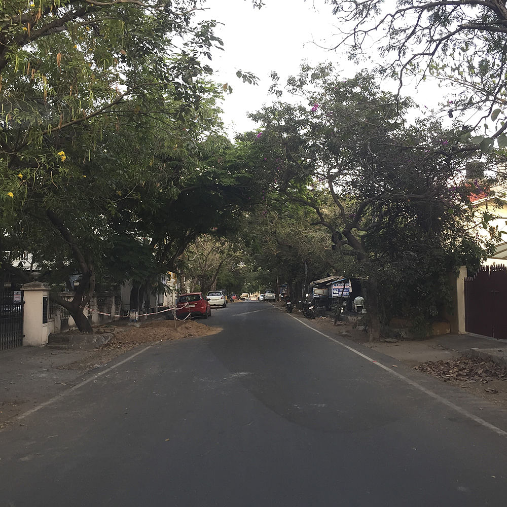 Sky,Road,Lane,Asphalt,Tree,Natural environment,Residential area,Neighbourhood,Wilderness,Cloud