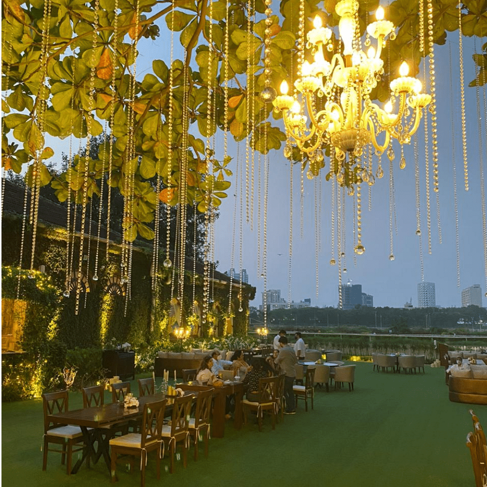 Tree,Yellow,Nature,Leaf,Lighting,Woody plant,Branch,Autumn,Plant,Table