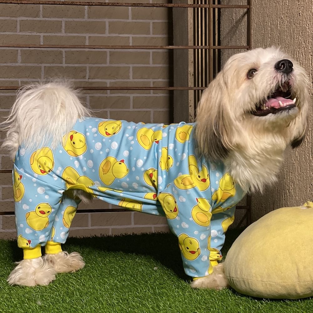 Pet clothes online hotsell