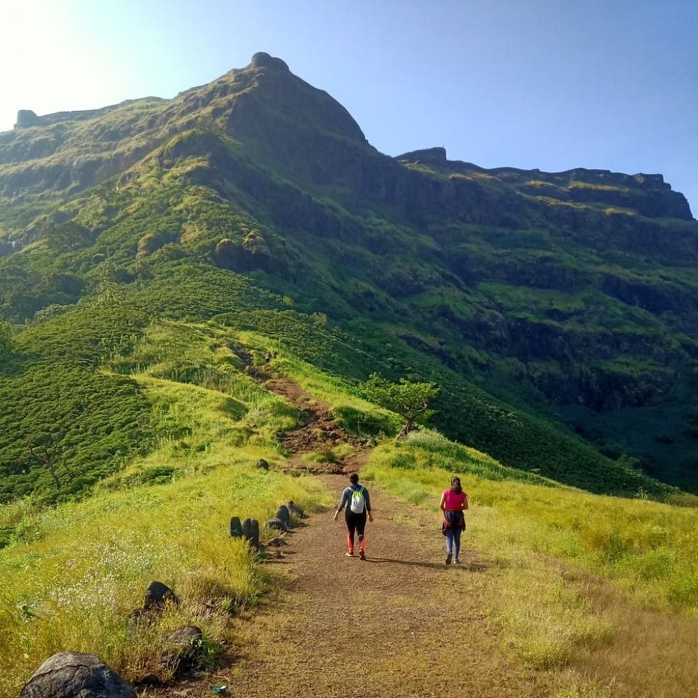 Mountainous landforms,Highland,Mountain,Hill,Ridge,Wilderness,Hill station,Fell,Natural landscape,Grassland