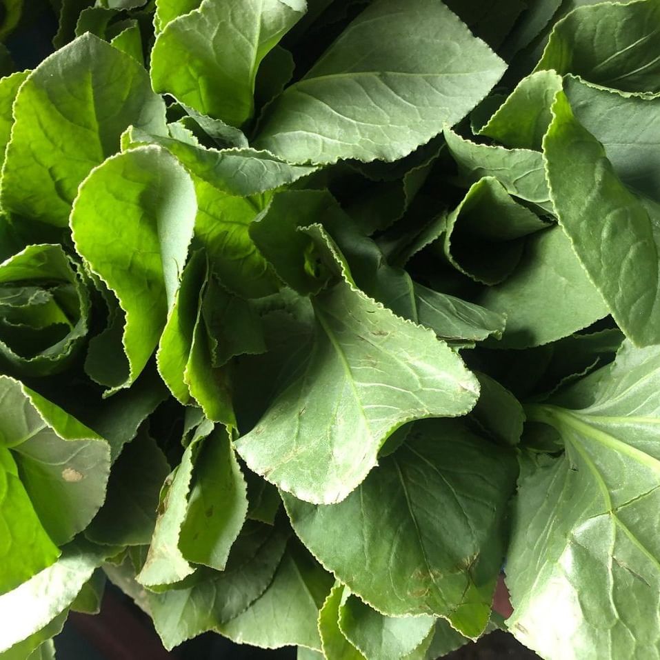 Flower,Leaf,Plant,Collard greens,Leaf vegetable,Flowering plant,Spring greens,Vegetable,Kai-lan,Food