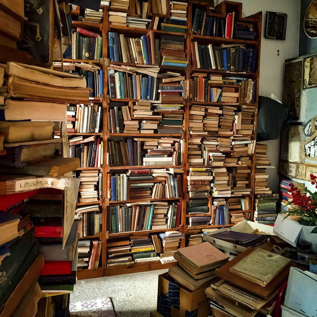 Book,Bookselling,Bookcase,Shelving,Publication,Furniture,Shelf,Library,Wood,Building