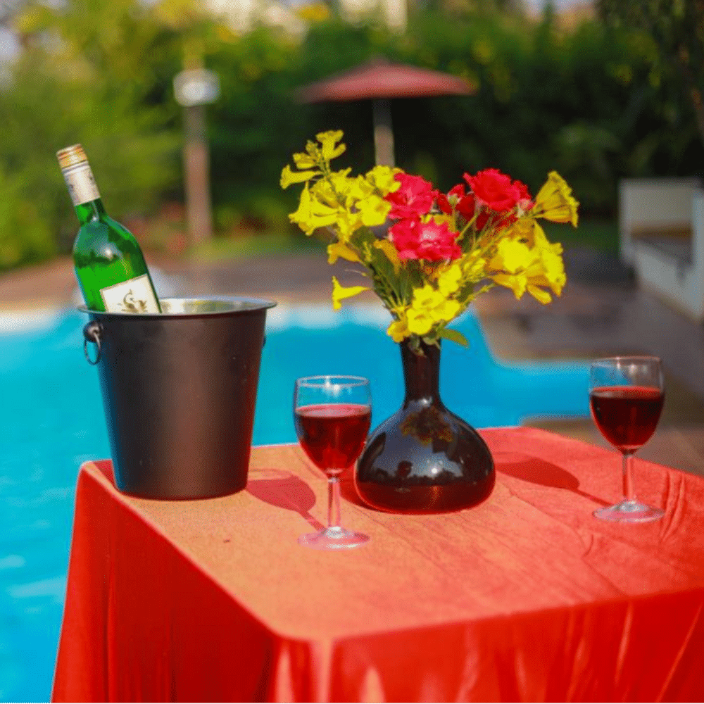 Drink,Bottle,Table,Still life,Glass,Wine bottle,Plant,Champagne stemware,Liqueur,Wine glass