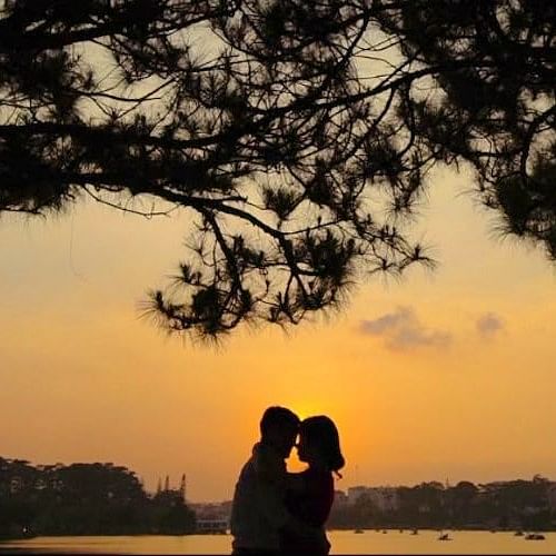 People in nature,Sky,Photograph,Love,Romance,Tree,Yellow,Sunset,Snapshot,Cloud