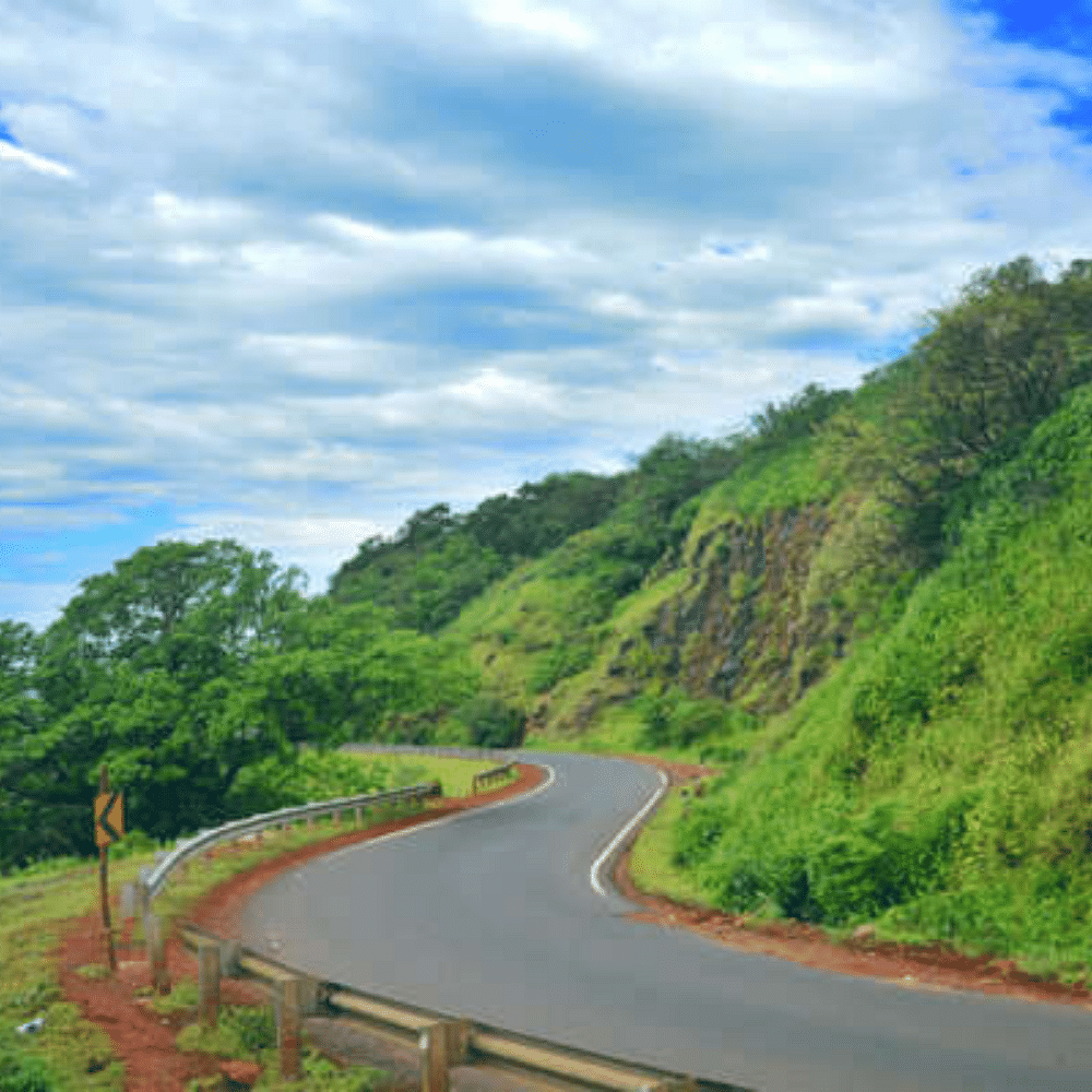 Road,Nature,Vegetation,Green,Natural landscape,Road surface,Infrastructure,Asphalt,Slope,Landscape