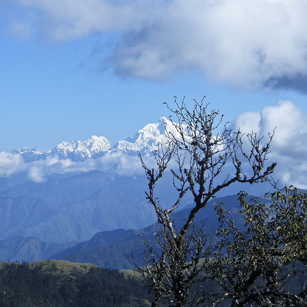 Sky,Branch,Cloud,Twig,Mountain range,Cumulus,Wilderness,Ridge,Trunk,Summit