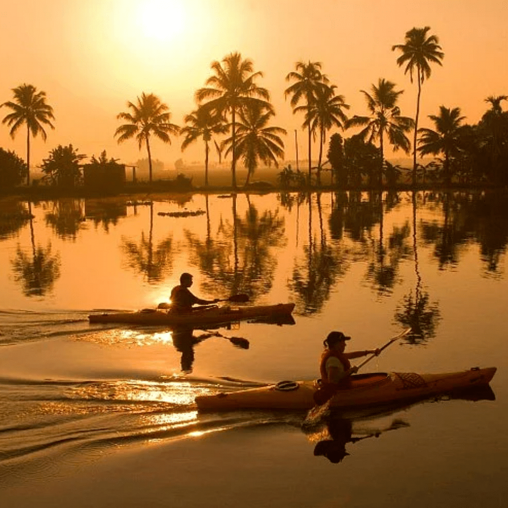 Reflection,Water,Boat,Watercraft,Tree,Boating,Boats and boating--Equipment and supplies,Arecales,Canoeing,Sunset