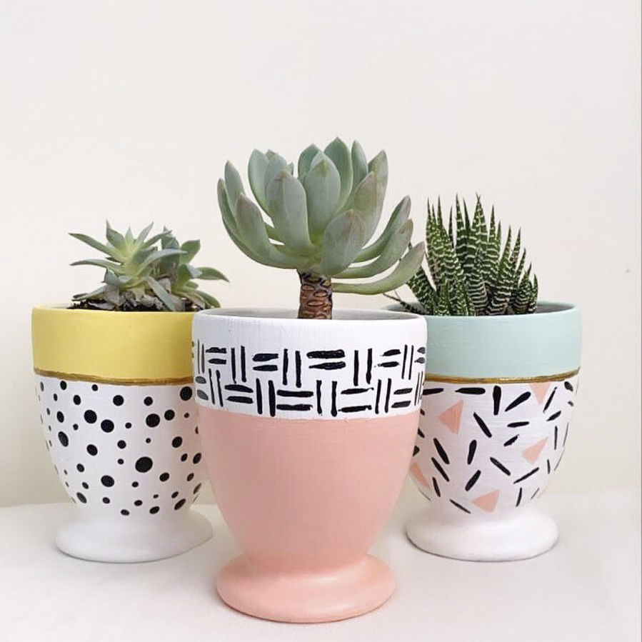 Flowerpot,Terrestrial plant,Botany,Serveware,Houseplant,Interior design,Ceramic,Design,Succulent plant,Peach
