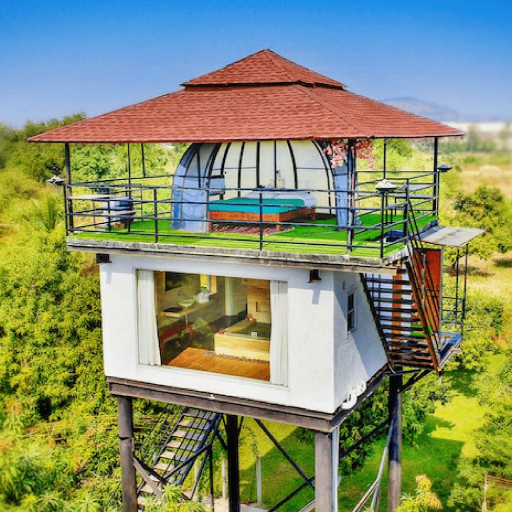 Rural area,Outdoor structure,Prairie,Cage,Shrubland