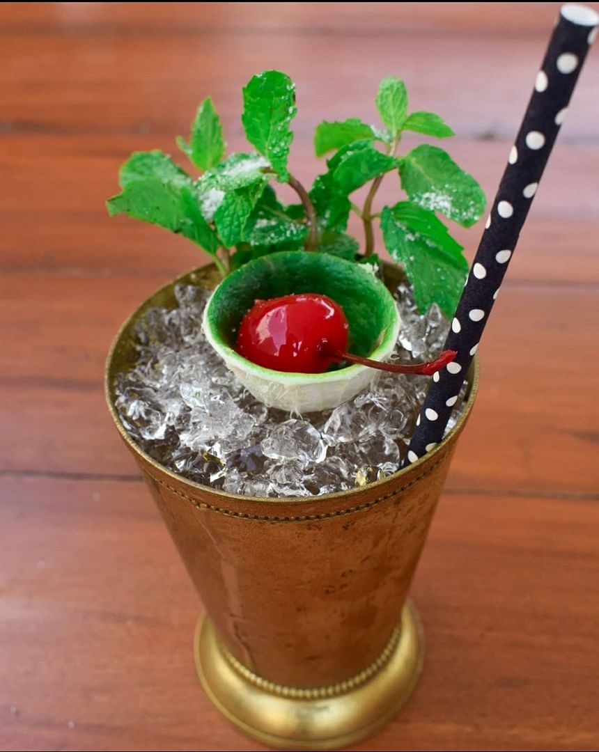 Cocktail garnish,Drink,Flowerpot,Mint julep,Non-alcoholic beverage,Plant,Food,Mai tai,Flower,Houseplant