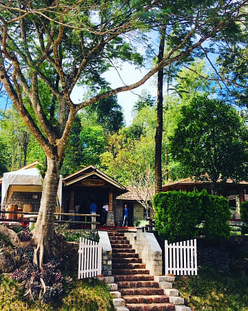 Stairs,Plant,Wood,Tree,House,Woody plant,Porch,Real estate,Garden,Home