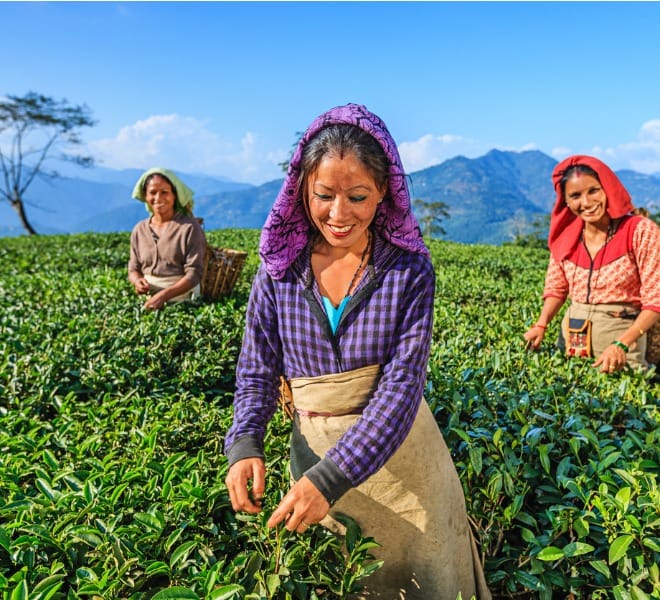 merchant-banner-blur