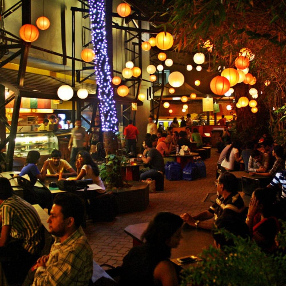 Head,Lighting,Night,Lantern,Electricity,Customer,Flowerpot,Houseplant,Restaurant,Holiday