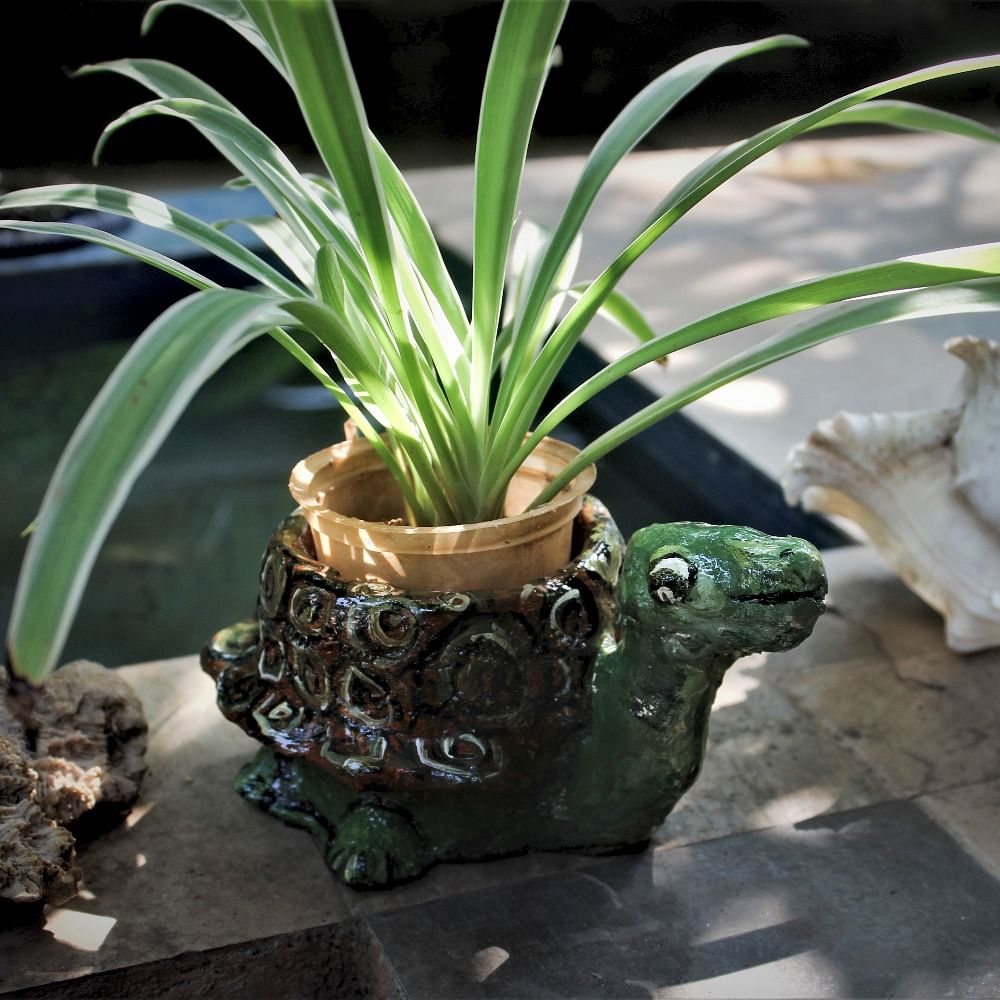 Green,Flowerpot,Botany,Terrestrial plant,Houseplant,Sculpture,Amphibian,Plant stem,Perennial plant,Herbaceous plant