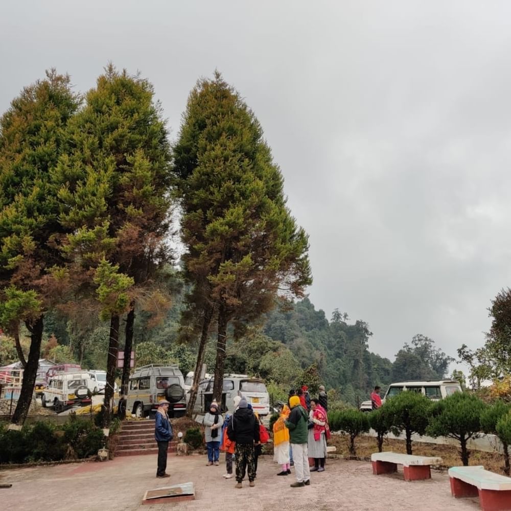Tree,Public space,Travel,Pedestrian,Sidewalk,Evergreen,Park,Conifer,Bench,Larch