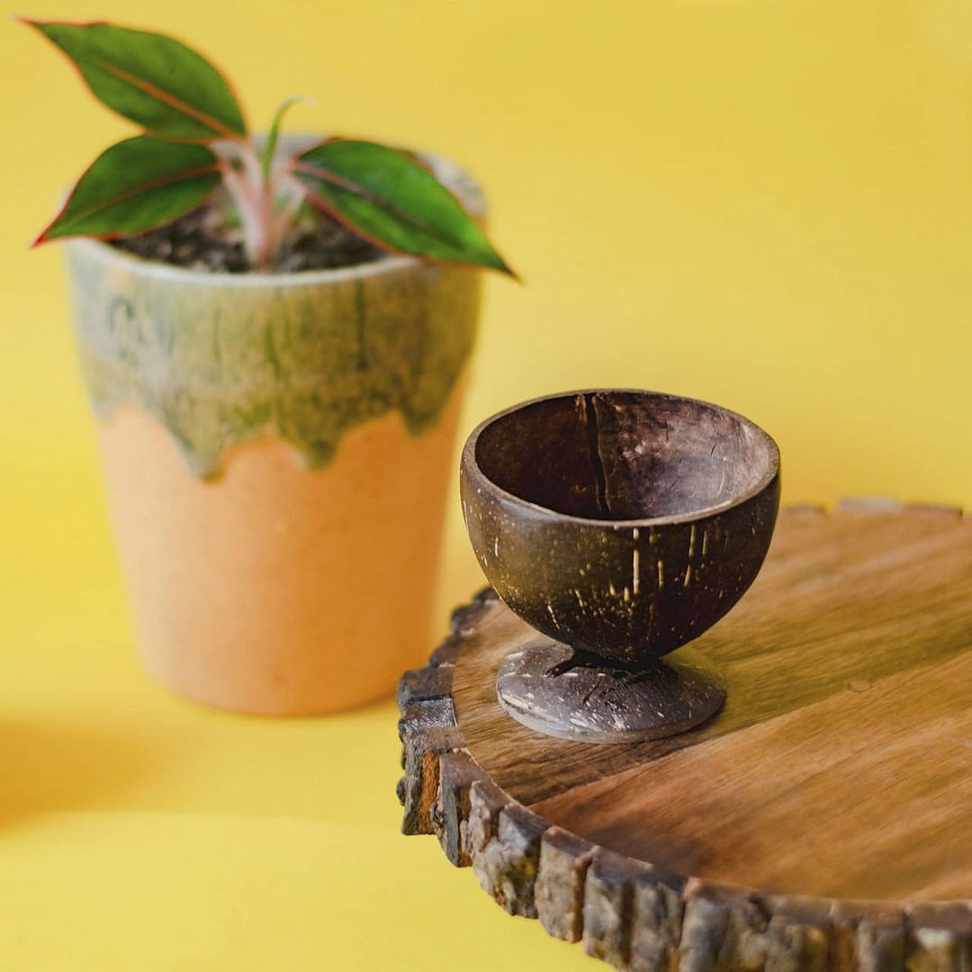 Flowerpot,Leaf,Hardwood,Houseplant,Serveware,Interior design,Pottery,Ceramic,Still life photography,Natural material