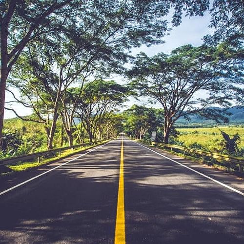 Road,Nature,Road surface,Branch,Infrastructure,Asphalt,Natural landscape,Thoroughfare,Lane,Sunlight