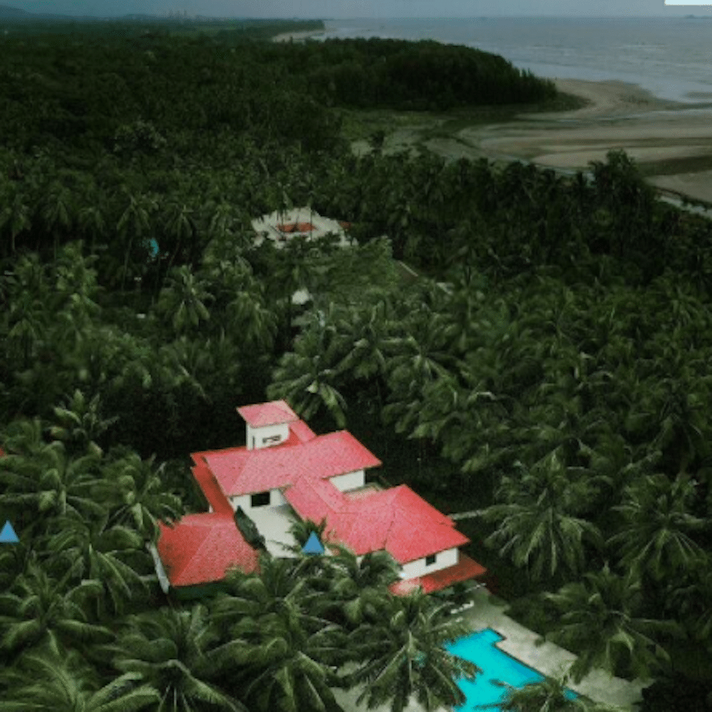 Vegetation,Landscape,Terrain,House,Roof,Photography,Home,Arecales,Plantation,Tropics