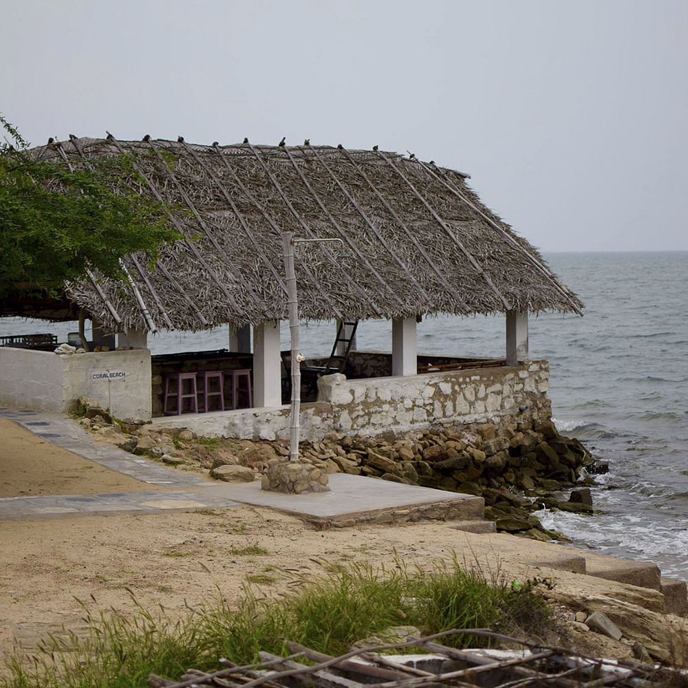 Plant,Sky,Water,Building,Thatching,House,Wood,Beach,Cottage,Landscape