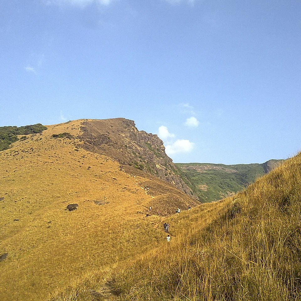 Cloud,Sky,Plant community,Mountain,Slope,Natural landscape,Highland,Terrain,Horizon,Plant