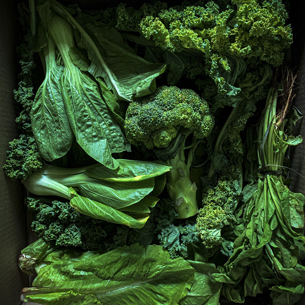 Food,Natural foods,Leaf vegetable,Staple food,Ingredient,Terrestrial plant,Vegetable,Plant,Produce,Local food