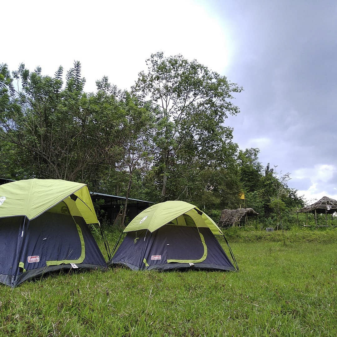 Sky,Cloud,Plant,Plant community,Tent,Tarpaulin,Camping,Natural landscape,Tree,Shade