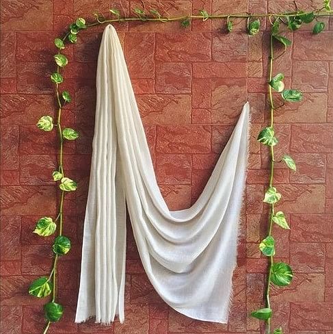 Wood,Curtain,Plant,Twig,Wall,Tints and shades,Art,Pattern,Feather,Window